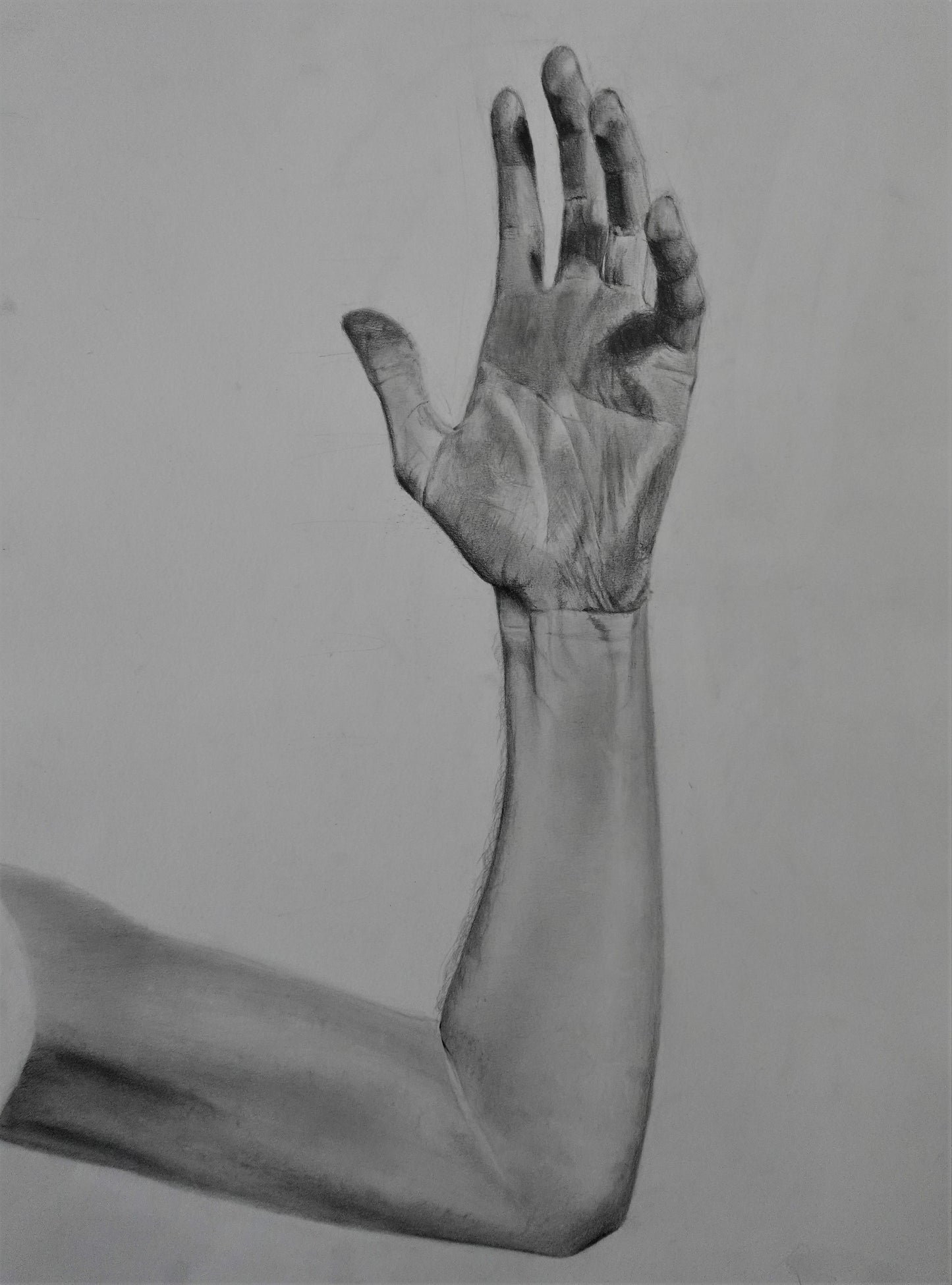 Hand Study