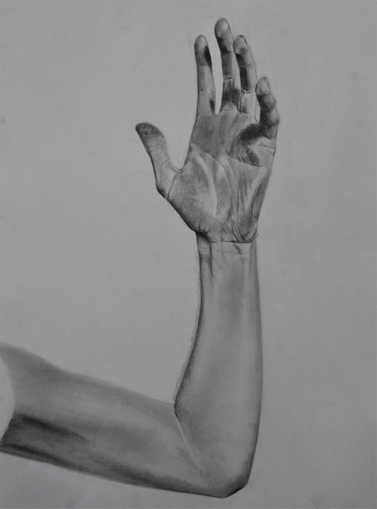 Hand Study